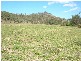Canungra QLD 4275