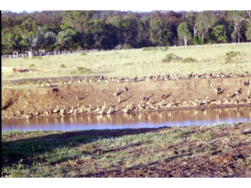 Grandchester QLD 4340
