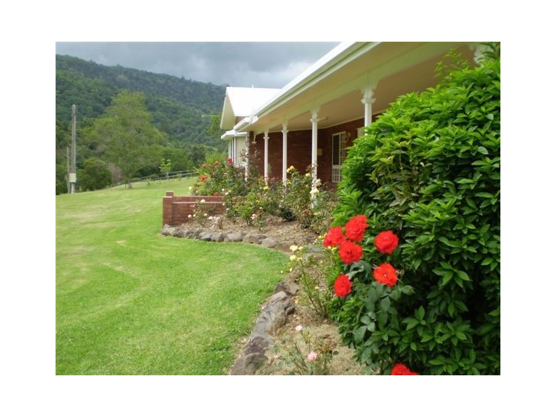 Canungra QLD 4275