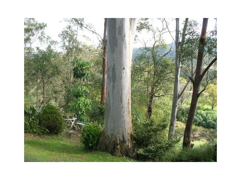 Canungra QLD 4275