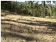 Canungra QLD 4275