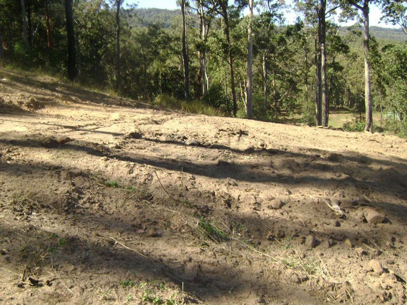 Canungra QLD 4275