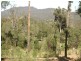 Canungra QLD 4275