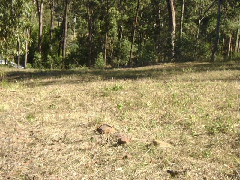Canungra QLD 4275