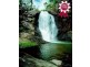 Tamborine QLD 4270