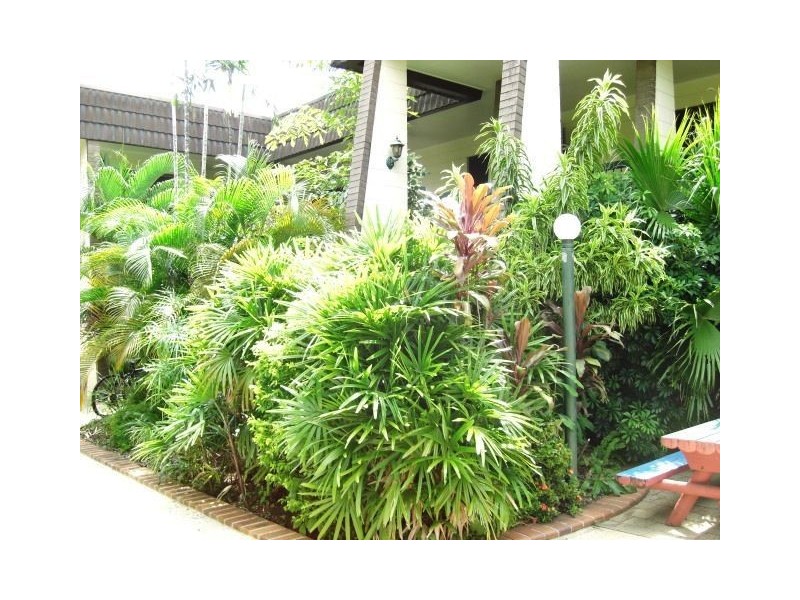 10/161-163 Grafton Street, Cairns QLD 4870