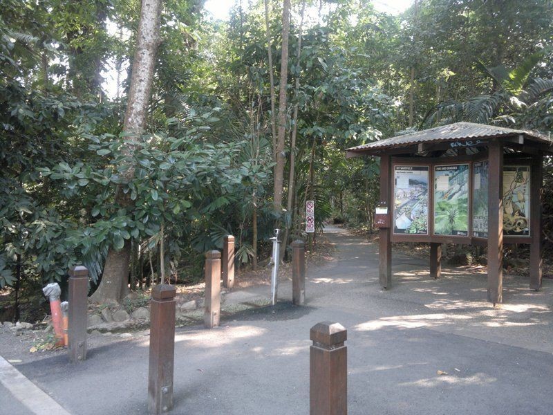 77 Boden Street, Edge Hill QLD 4870