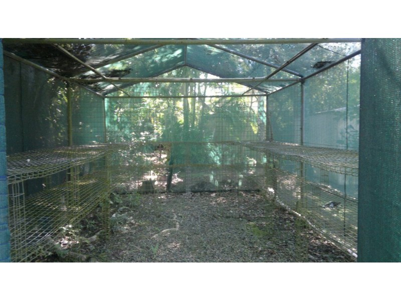 74 Moody Street, Manoora QLD 4870