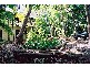 386/1-21 Anderson Road, Cairns QLD 4870