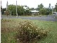 14 Hood Street, Trinity Park QLD 4879