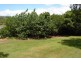 63 Willow Street, Holloways Beach QLD 4878