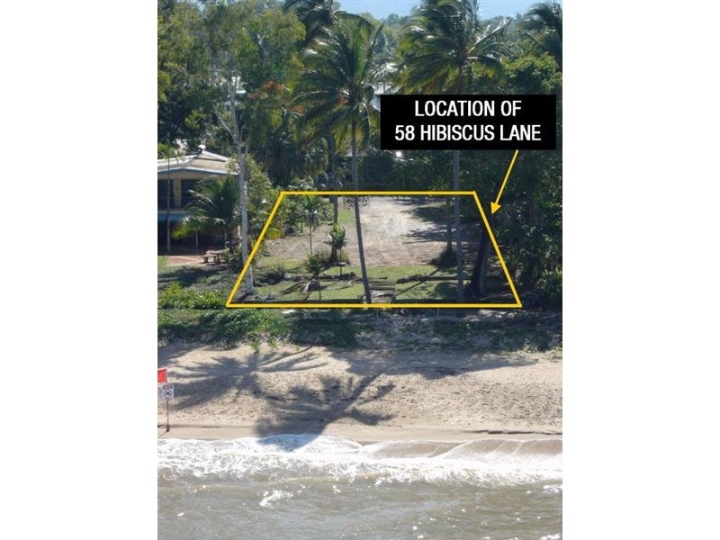 58 Hibiscus Lane, Holloways Beach QLD 4878