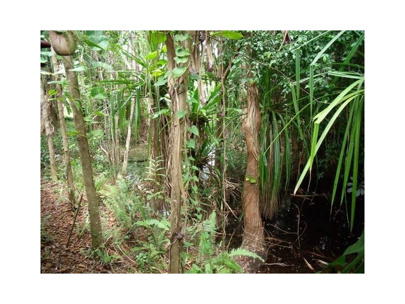 6/16 Boden Street, Yorkeys Knob QLD 4878