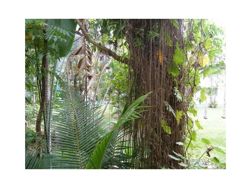 8/67-69 Moore Street, Trinity Beach QLD 4879