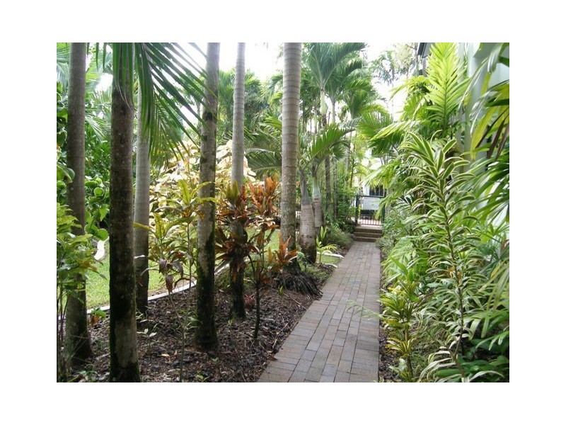 20/101 Wattle Street, Yorkeys Knob QLD 4878