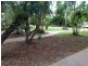 1 Wallum Close, Holloways Beach QLD 4878