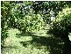 79 Baronia, Holloways Beach QLD 4878