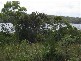 Russell Island QLD 4184