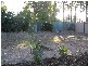 26 Patricia Street, Woodridge QLD 4114