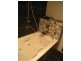 Crestmead QLD 4132