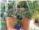 35 Lowry st, Kingston QLD 4114