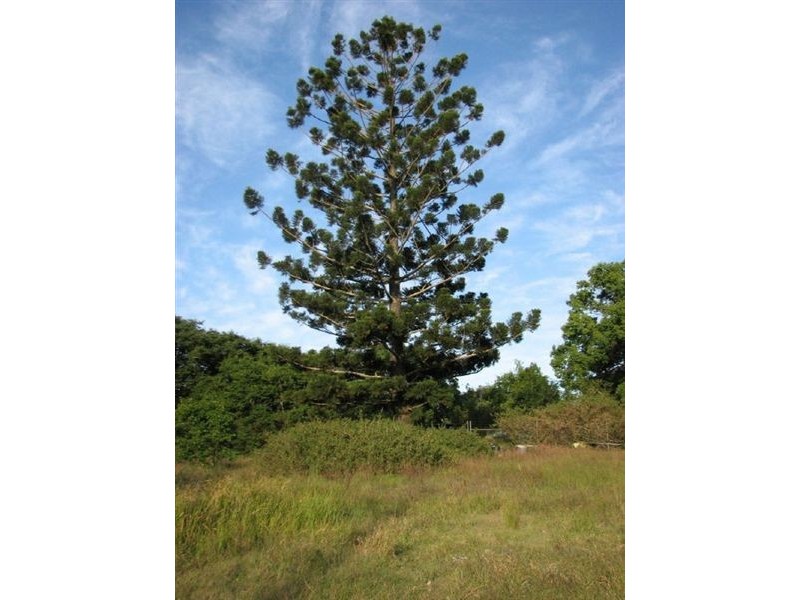 Logan Reserve QLD 4133