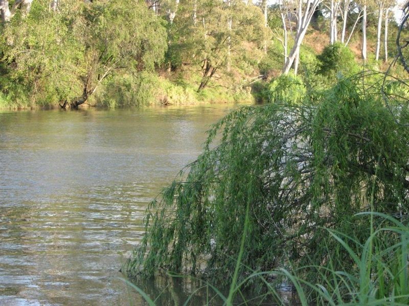 Logan Reserve QLD 4133
