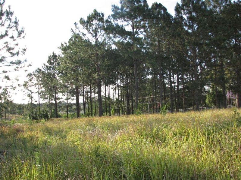 Logan Reserve QLD 4133