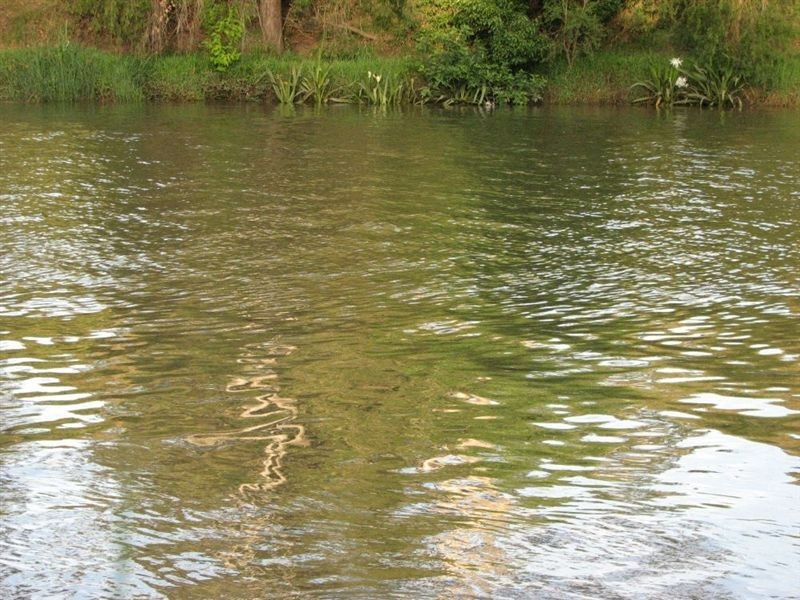 Logan Reserve QLD 4133