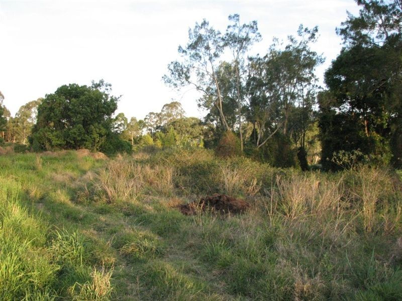 Logan Reserve QLD 4133