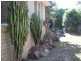 101 Overland Drive, Edens Landing QLD 4207