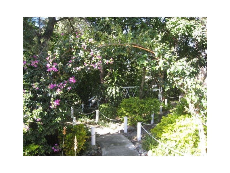 6 Dubhe Ct, Kingston QLD 4114