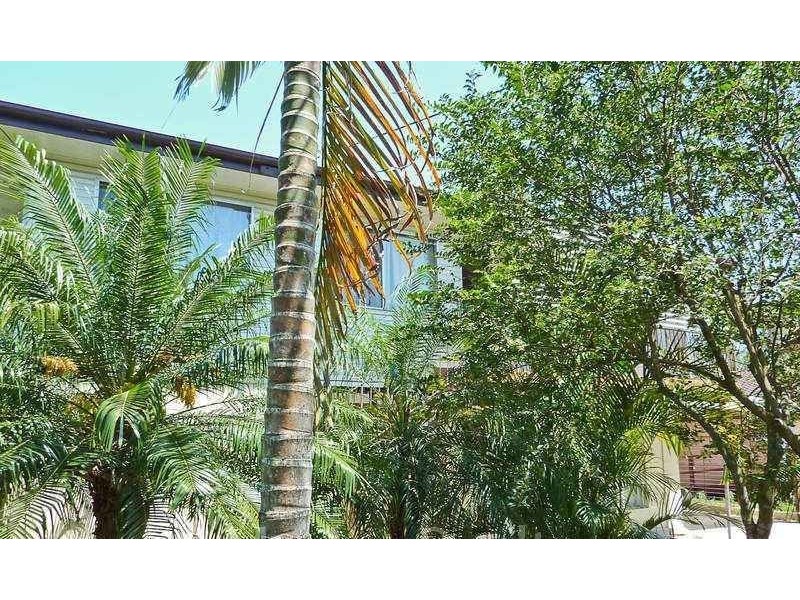 37 Attunga Street, Kingston QLD 4114