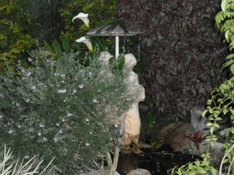 63 Rellam Rd, Loganlea QLD 4131