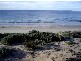 Lot 3 Yaranyacka Road, Port Neill SA 5604