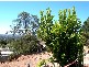 7A Chapman Crescent, Glen Osmond SA 5064