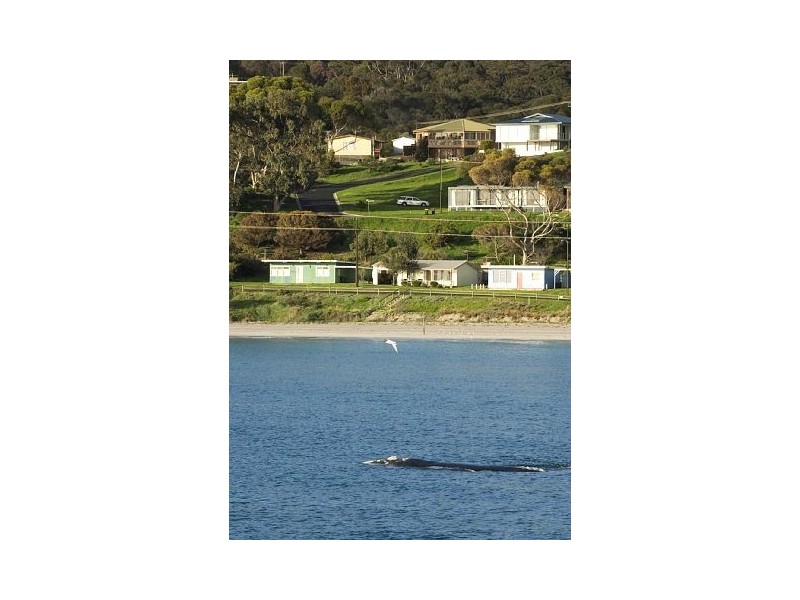 42 Karatta Terrace, Penneshaw SA 5222