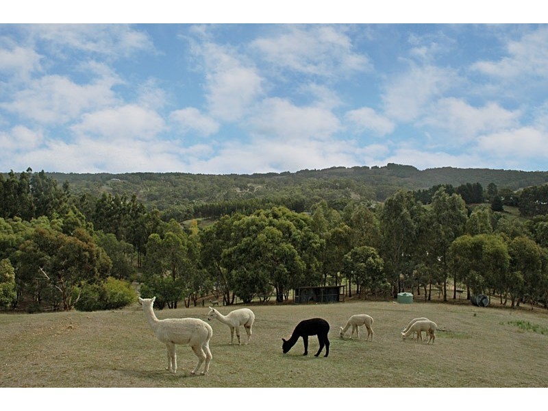Lot 72 Kiaka Lane, Scott Creek SA 5153