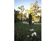 10 Penarth Avenue, Beaumont SA 5066