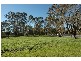 Lot 1 Onkaparinga Valley Road, Balhannah SA 5242