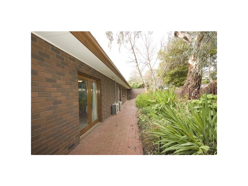 31 Nilpinna Street, Burnside SA 5066