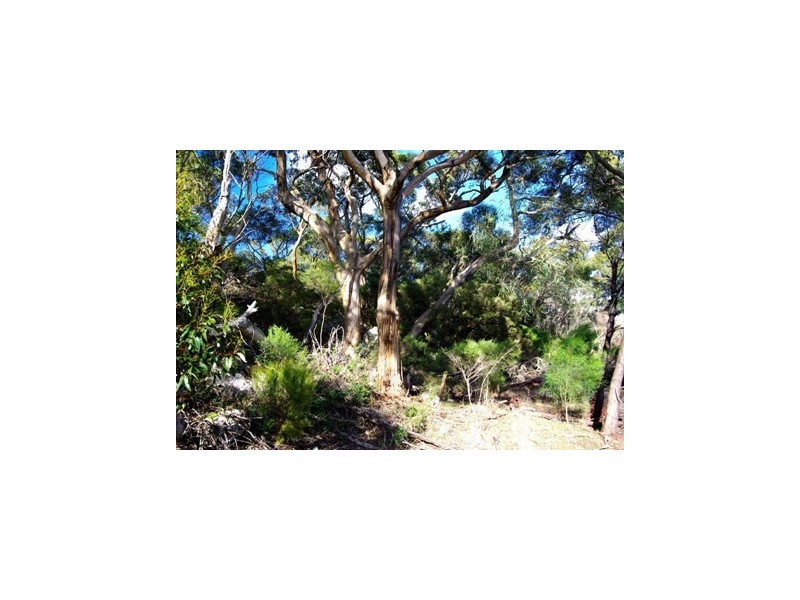 Sec 15 South Coast Road, Vivonne Bay SA 5223