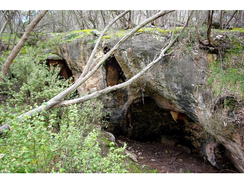 Sec 15 South Coast Road, Vivonne Bay SA 5223