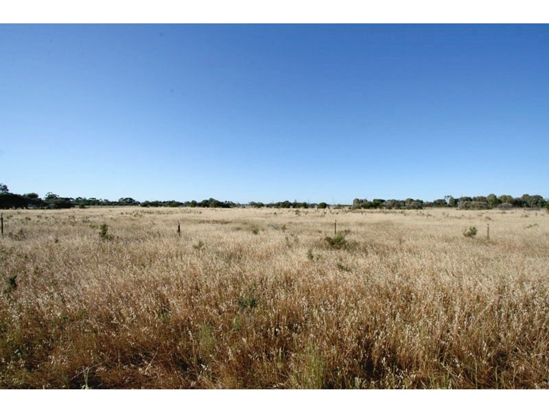 2 Trim Road, Two Wells SA 5501