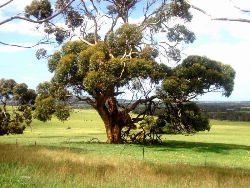 Lot 3 North Coast Road, Emu Bay SA 5223