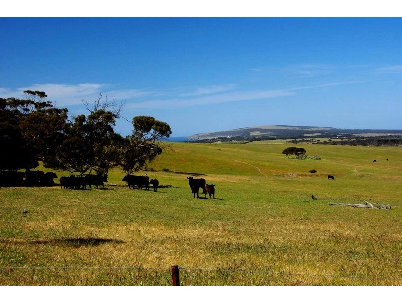 Lot 3 North Coast Road, Emu Bay SA 5223