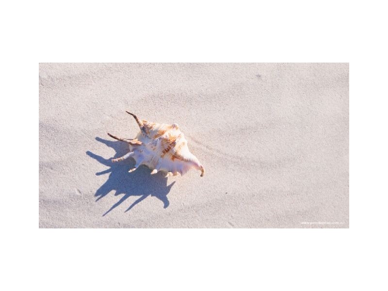 Lt 43 & 44 Point Boston Peninsula, Port Lincoln SA 5606