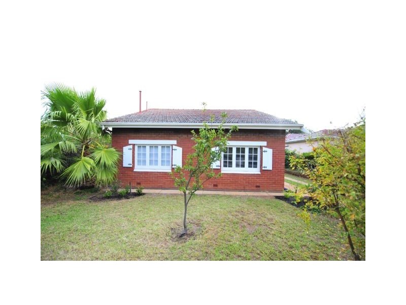 3 Olive Grove, Westbourne Park SA 5041