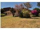 52 Dashwood Road, Beaumont SA 5066
