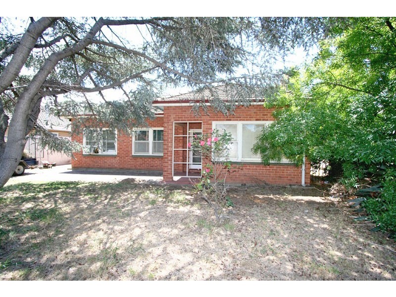 3 Shearing Street, Oaklands Park SA 5046